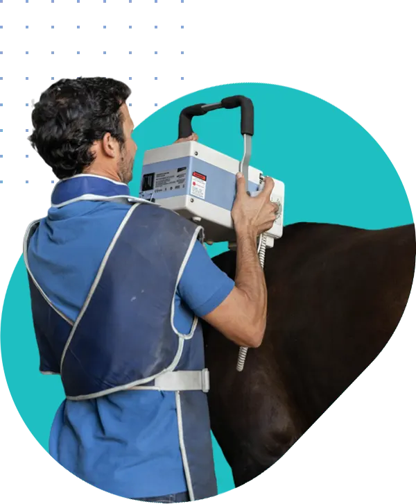 alejendro fernandez veterinario equino home