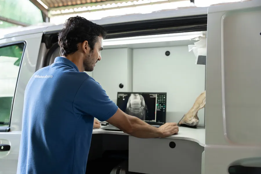 diagnostico por imagen